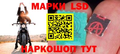 винт Новозыбков
