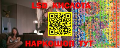 дмт Новодвинск