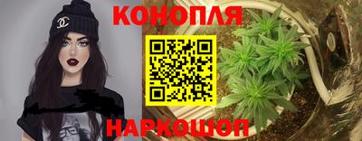 дмт Новодвинск