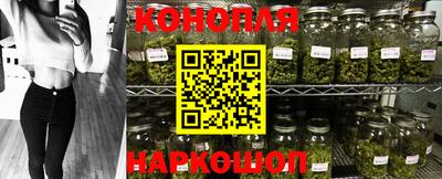 винт Новозыбков