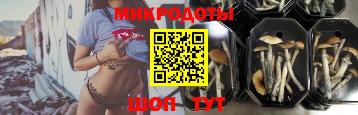 Семёнов  Галлюциногенные грибы MAGIC MUSHROOMS  Вход с VPN  Галлюциногенные грибы Cubensis 